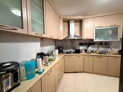 Blk 521 Pangshan Valley (Bukit Panjang), HDB Executive #621686271